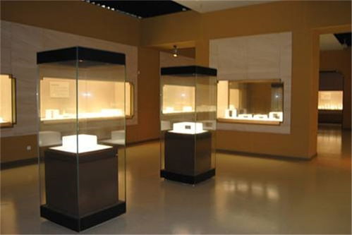 隆城展示 深圳博物館展柜定制與品質安裝服務詳解