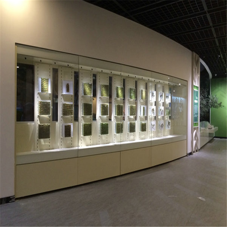 匠心筑柜，文韻流長 博物館展柜定制與制造全解析